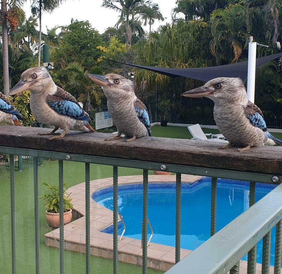 Magnetic Island Resort, Sleeps 3, Free Wifi Nelly Bay Exterior foto
